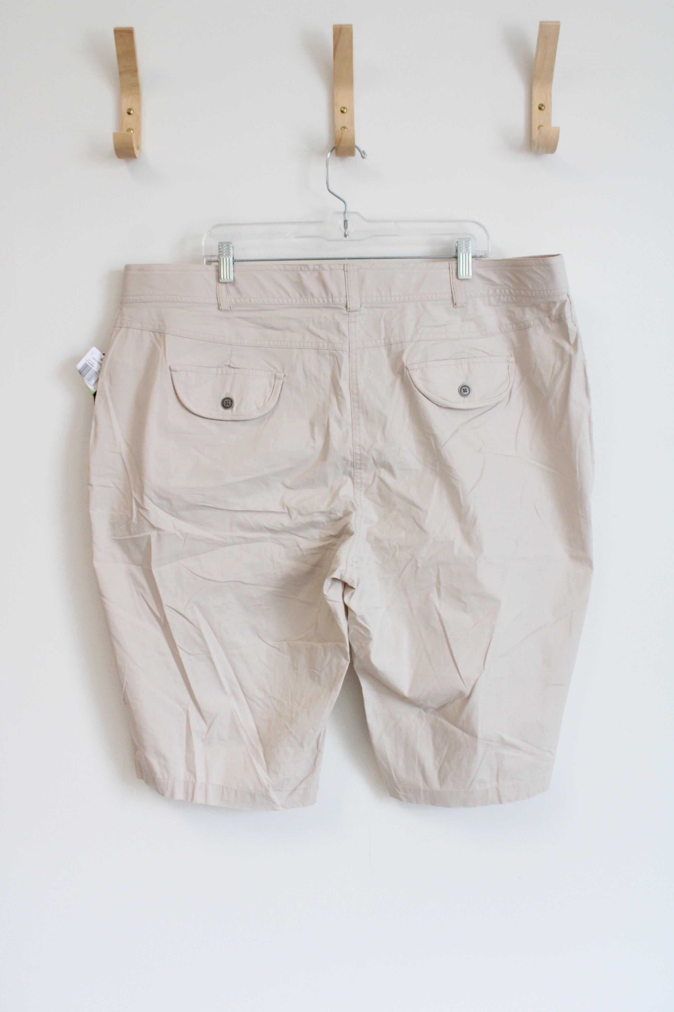 NEW Architect Khaki Shorts | 18W