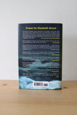 Lucy By The Sea Novel By Elizabeth Strout