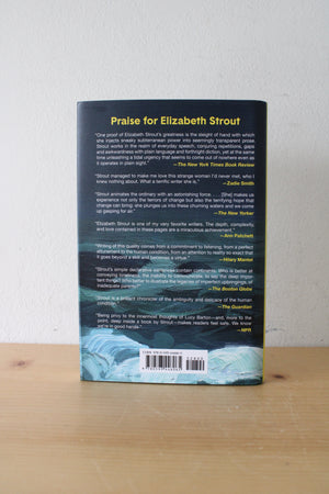 Lucy By The Sea Novel By Elizabeth Strout