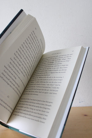 Lucy By The Sea Novel By Elizabeth Strout