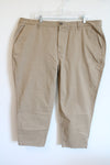 NEW Free Assembly Brown Chino Pant | 22