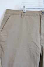 NEW Free Assembly Brown Chino Pant | 22