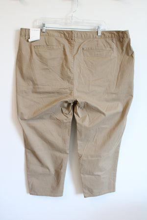 NEW Free Assembly Brown Chino Pant | 22