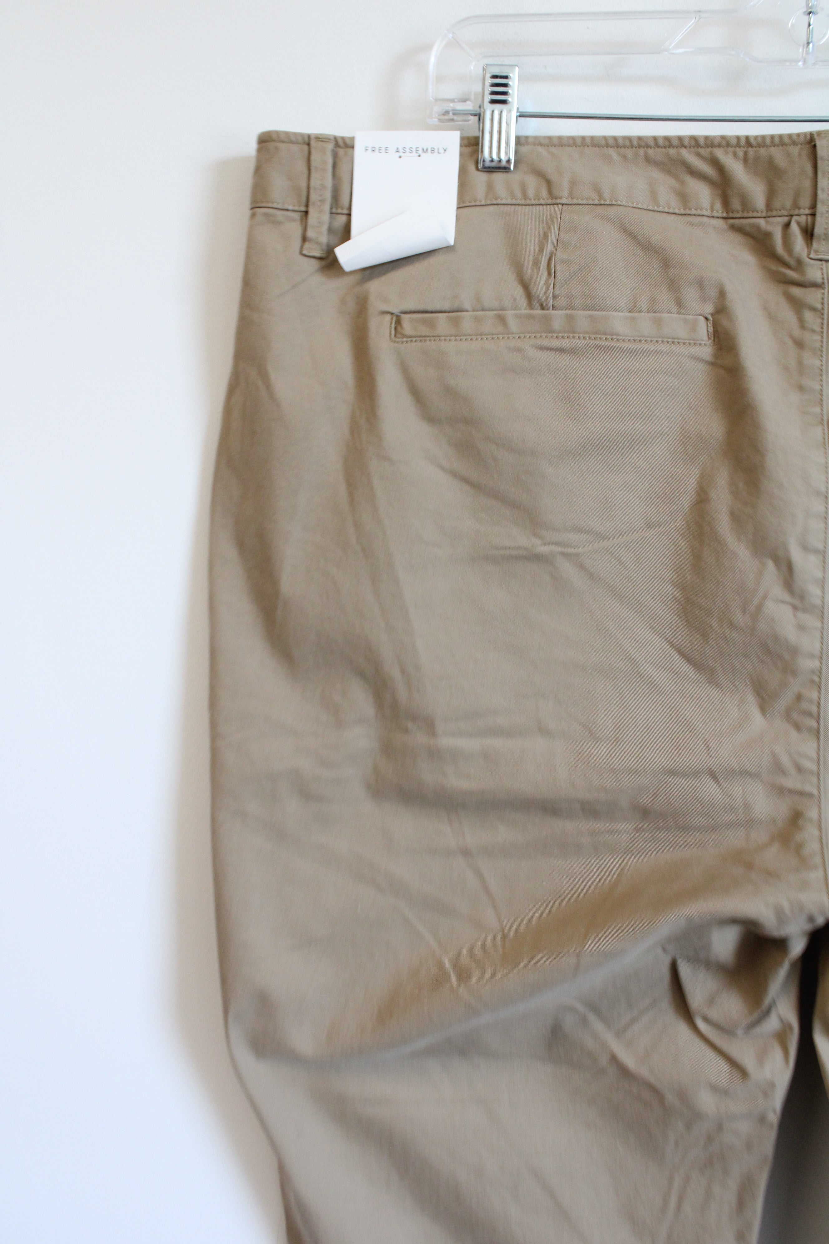 NEW Free Assembly Brown Chino Pant | 22