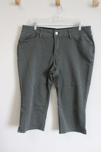 Laiborne Green Capri Pants | 6