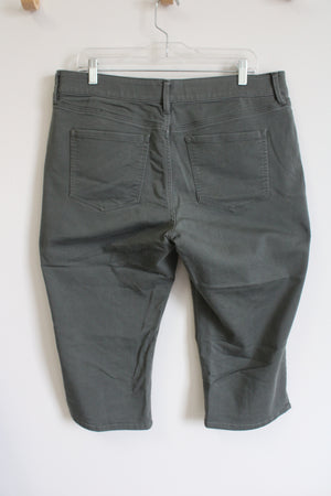 Laiborne Green Capri Pants | 6