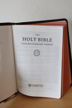 Cambridge University Press Calfskin Leather Bound ESV Bible