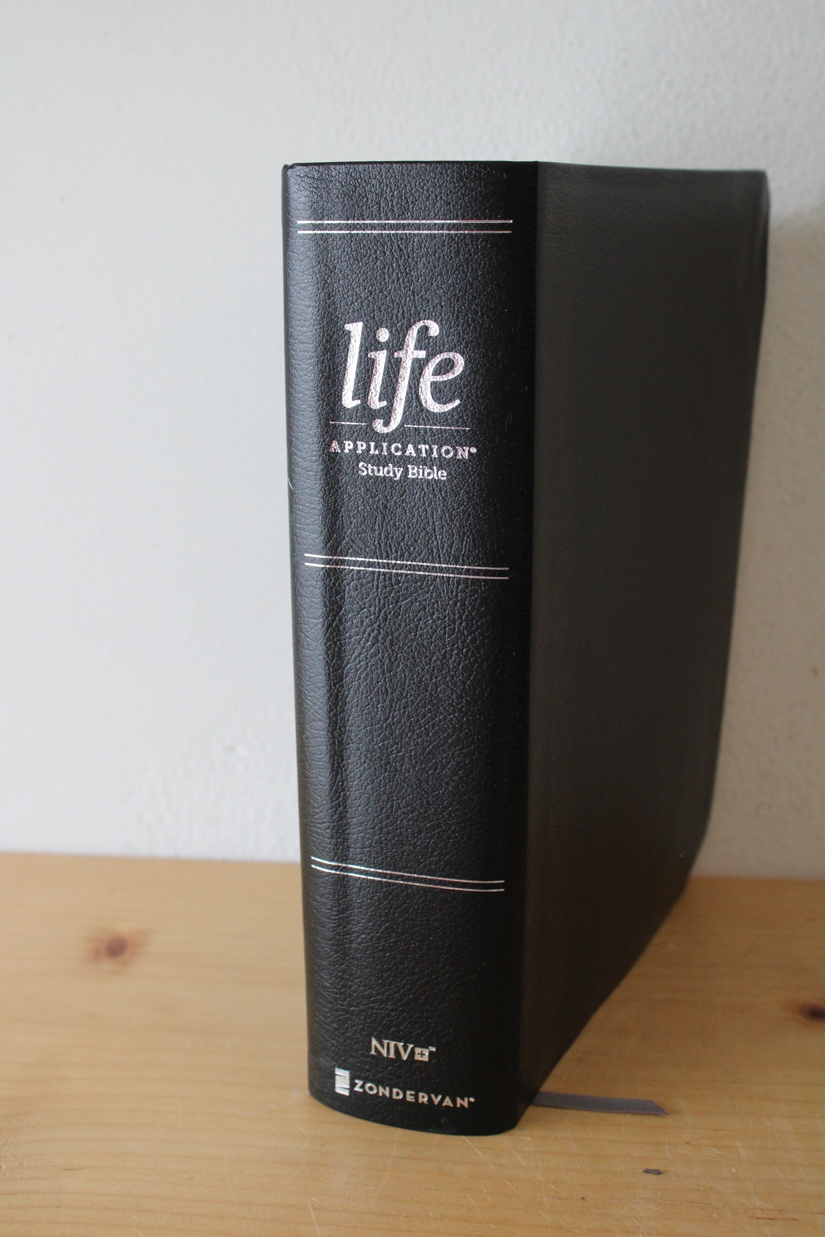 Life Application NIV Large Print Study Bible