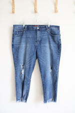 Lucky Brand Reese Boyfriend Distressed Jeans | 18W