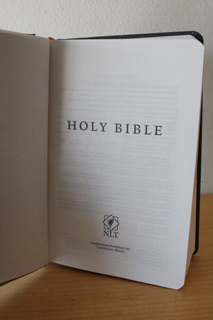 Gray Hardcover New Living Translation Bible