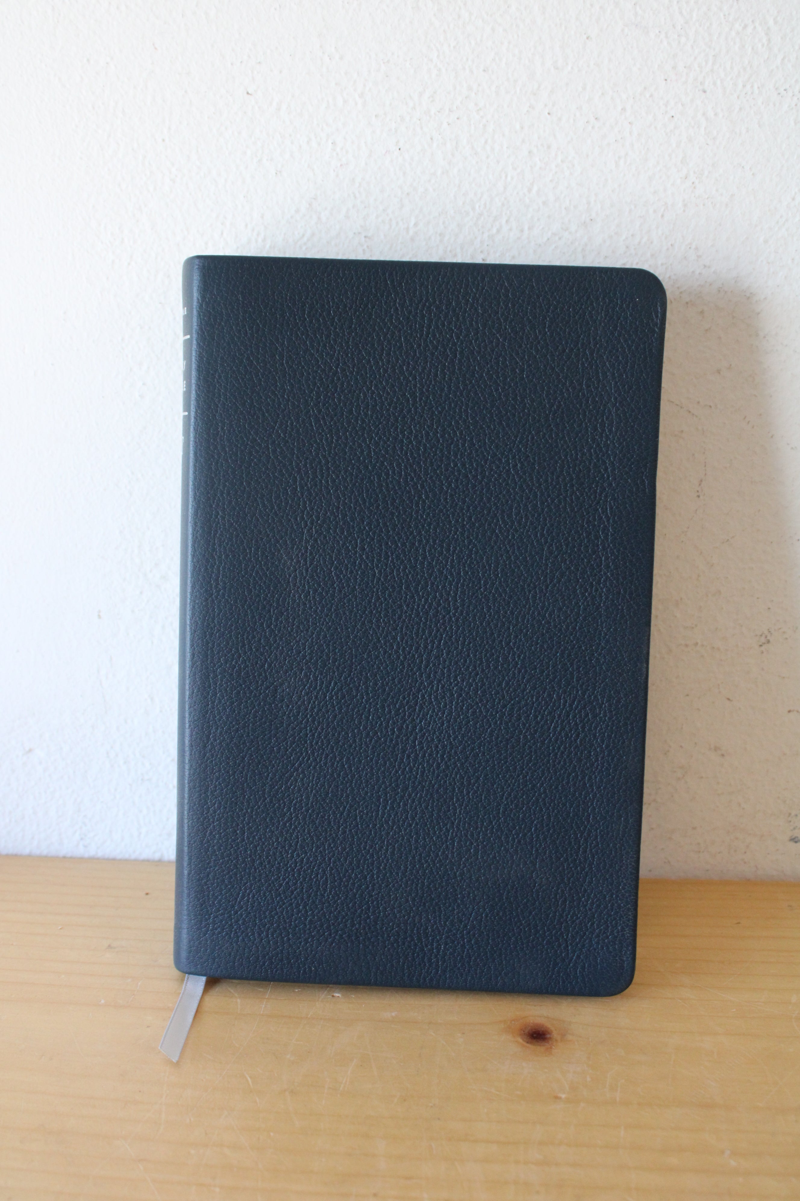 Blue Leather Bound NLT Bible