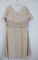 Tan Lace Stitched & Sequined Bodice & Chiffon Formal Dress | 4XL/5XL