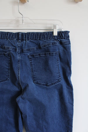 Appleseed's Dark Wash Jeans | 14