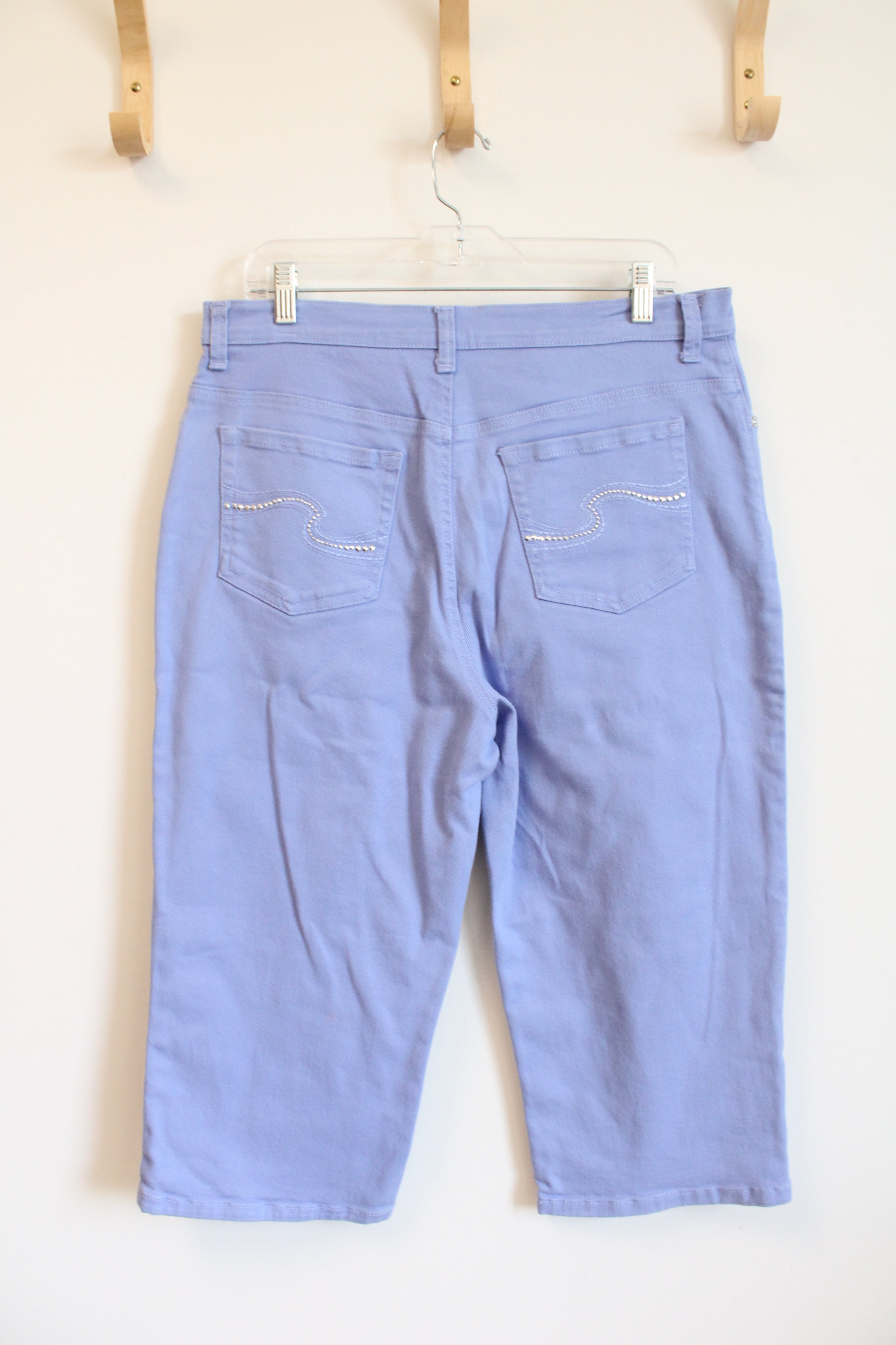 Gloria Vanderbilt Light Blue Amanda Capris | 14