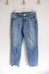 White House Black Market Straight Jeans Cut Off Jeans | 6