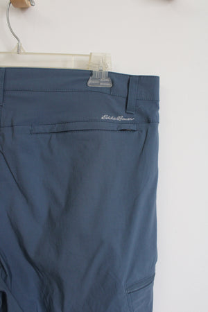 Eddie Bauer Dusty Blue Nylon Shorts | 36