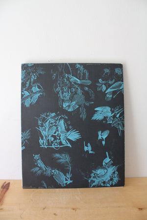 The Audubon Folio "30 Great Bird Paintings" Prints