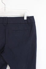 The Limited Exact Stretch Navy Striped Shorts | 6