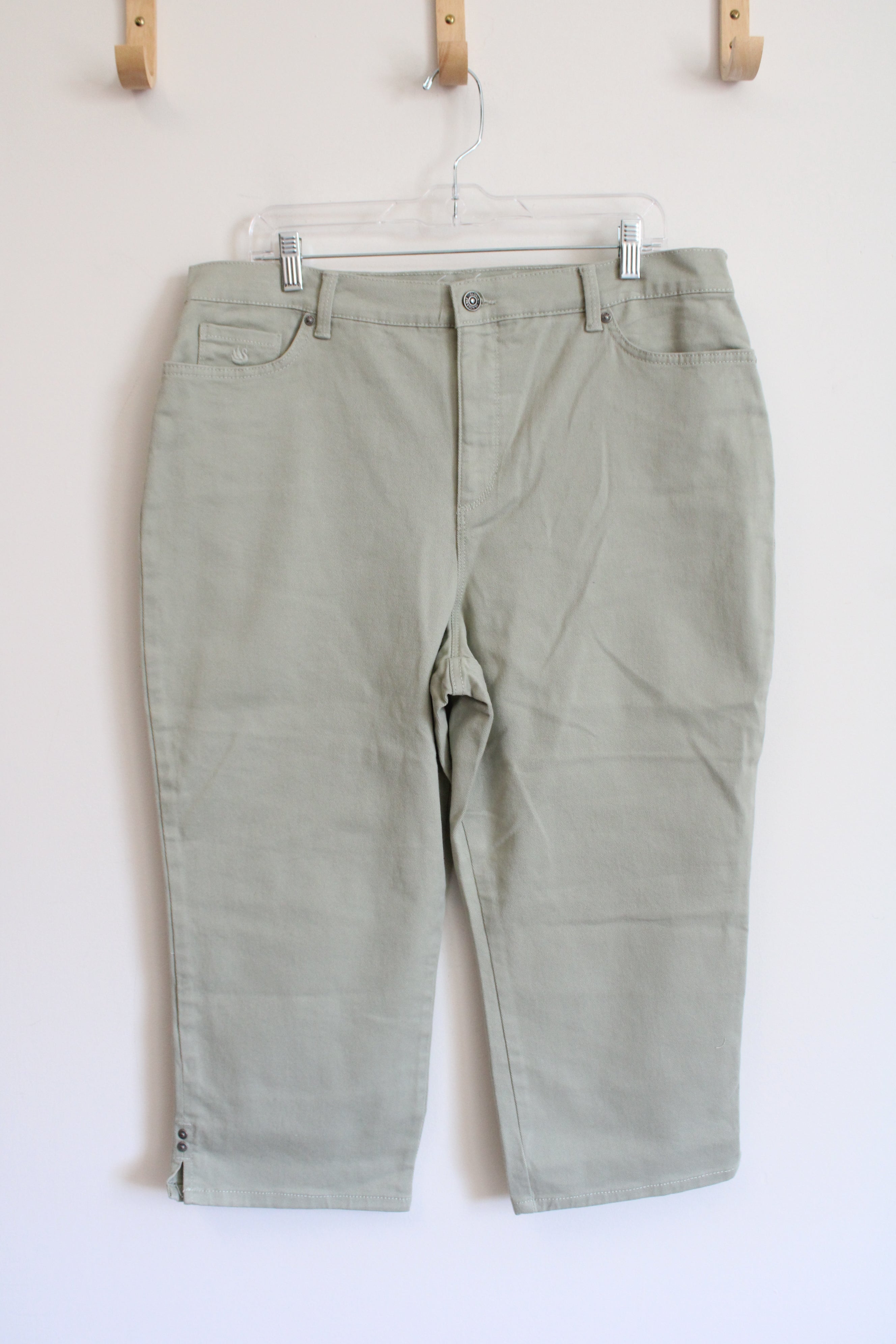 Gloria Vanderbilt Muted Green All-Around Slimming Effect Amanda Capri Pants | 16