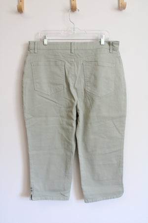 Gloria Vanderbilt Muted Green All-Around Slimming Effect Amanda Capri Pants | 16