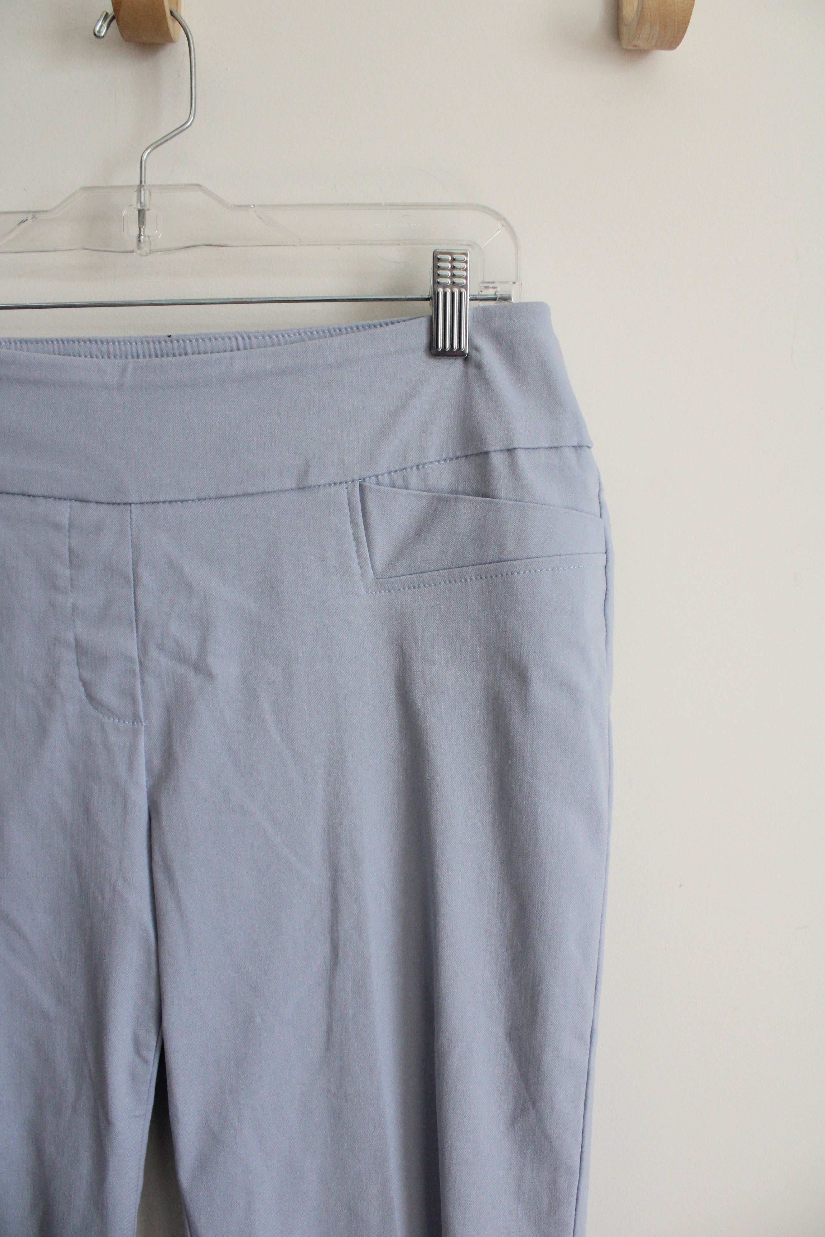 Zac & Rachel Light Blue Capri Pants | 12