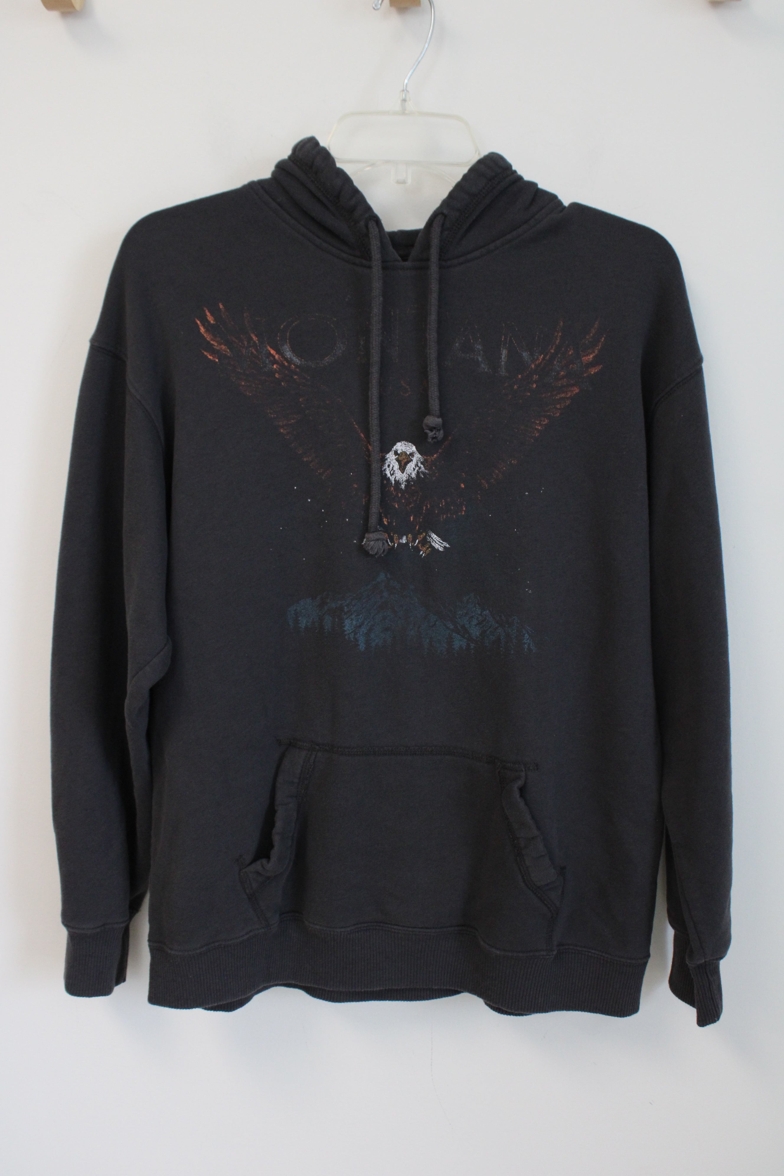 Hollister Dark Gray Eagle Hoodie | XS