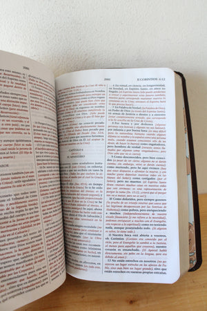 Biblia De Estudio Del Expositor Versión Textual Expositora