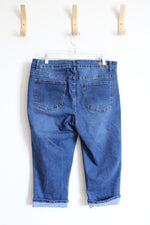 Bleu Capri Jeans | 14W
