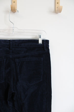 Well Worn Navy Velour Pants | 4/27