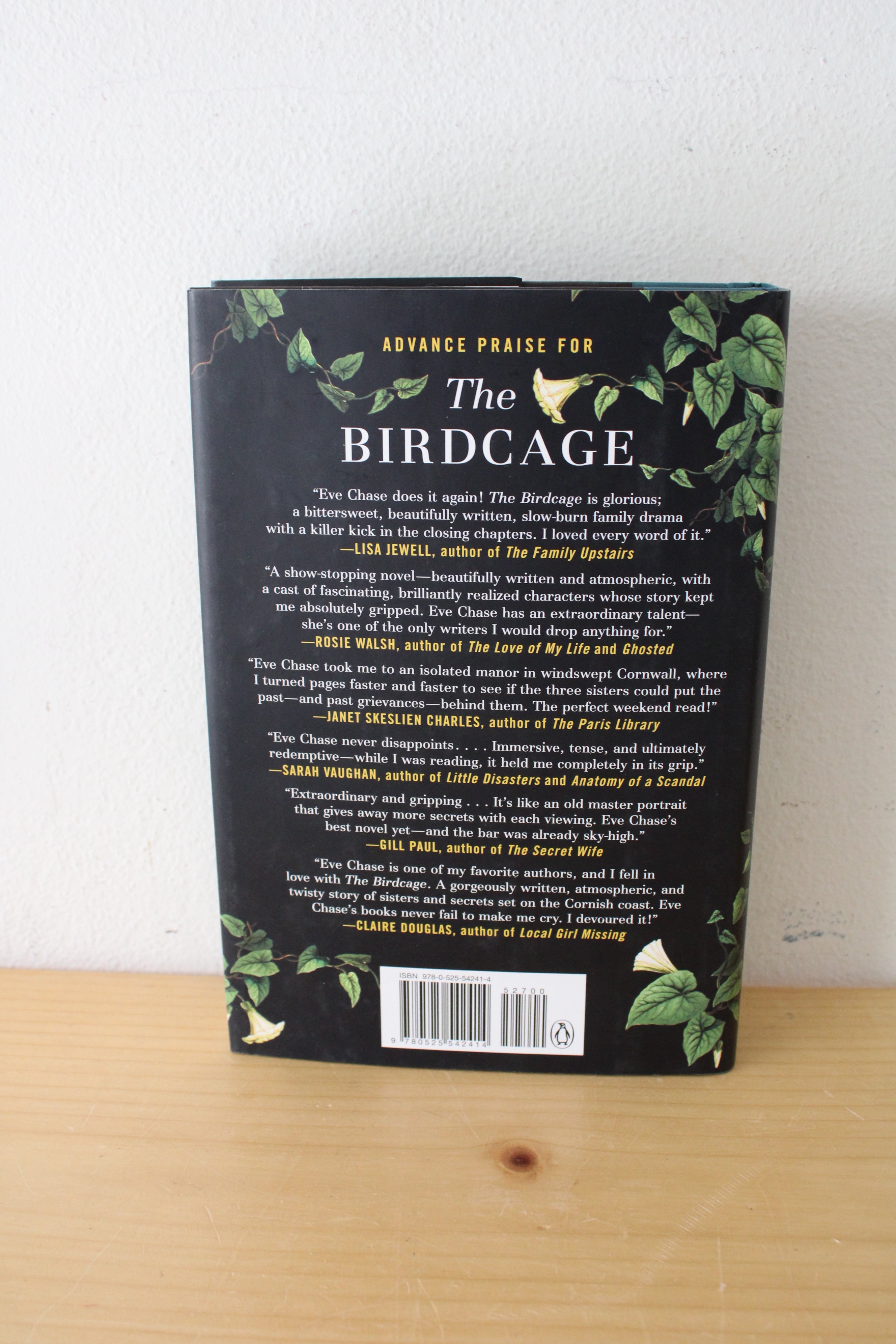 The Birdcage: Some Secrets Need To Be Set Free. By Eve Chase