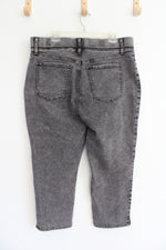 Terra & Sky Dark Gray Wash Capri Pants | 1X (16-18)