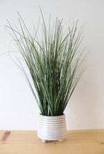 Long Grass Plant Ceramic Footed Planter