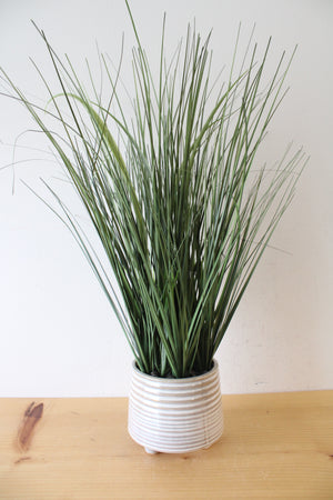 Long Grass Plant Ceramic Footed Planter