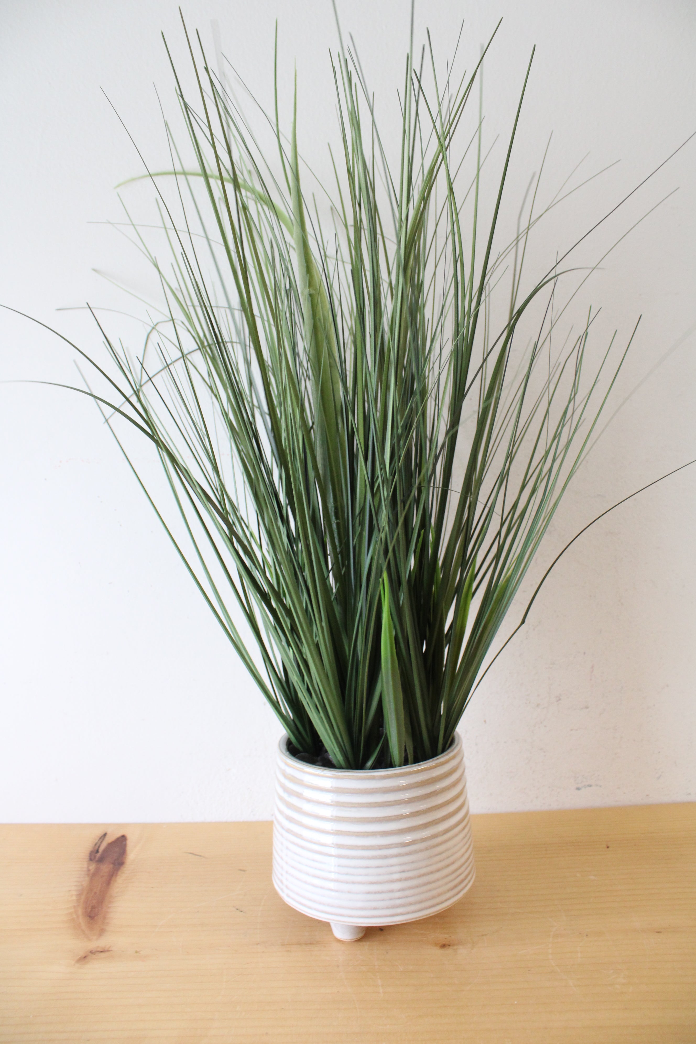 Long Grass Plant Ceramic Footed Planter