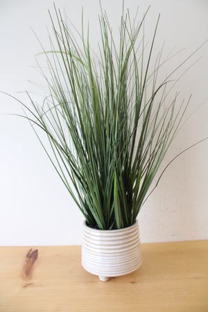 Long Grass Plant Ceramic Footed Planter