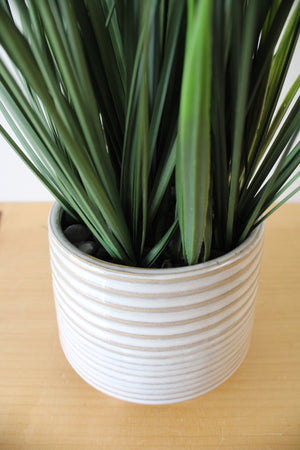 Long Grass Plant Ceramic Footed Planter