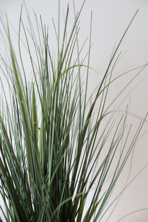 Long Grass Plant Ceramic Footed Planter