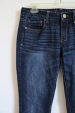 American Eagle Stretch Skinny Jean | 6
