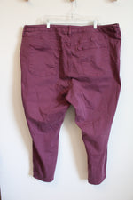 Ava & Viv Purple Pink Jeans | 26W
