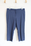 Express Stretch Blue Capri Pants | 11/12