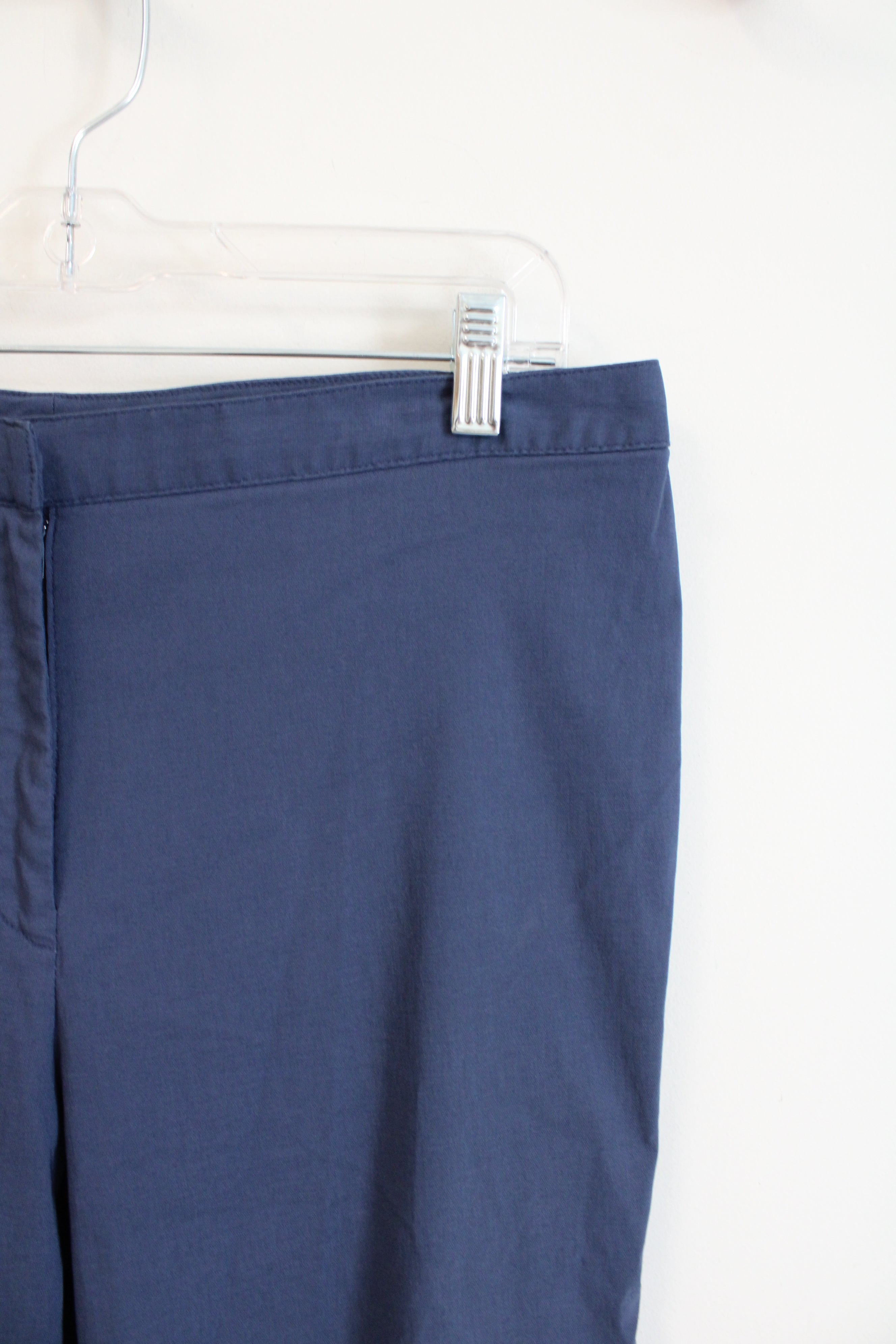 Express Stretch Blue Capri Pants | 11/12