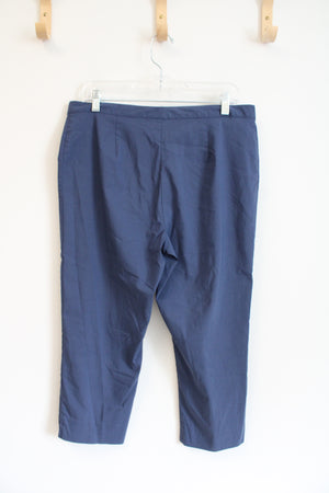 Express Stretch Blue Capri Pants | 11/12