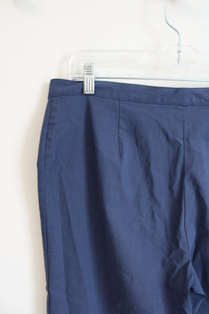 Express Stretch Blue Capri Pants | 11/12