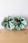 Green Leaf Ceramic Divided Small Serving Dish W/ Handle