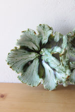 Green Leaf Ceramic Divided Small Serving Dish W/ Handle