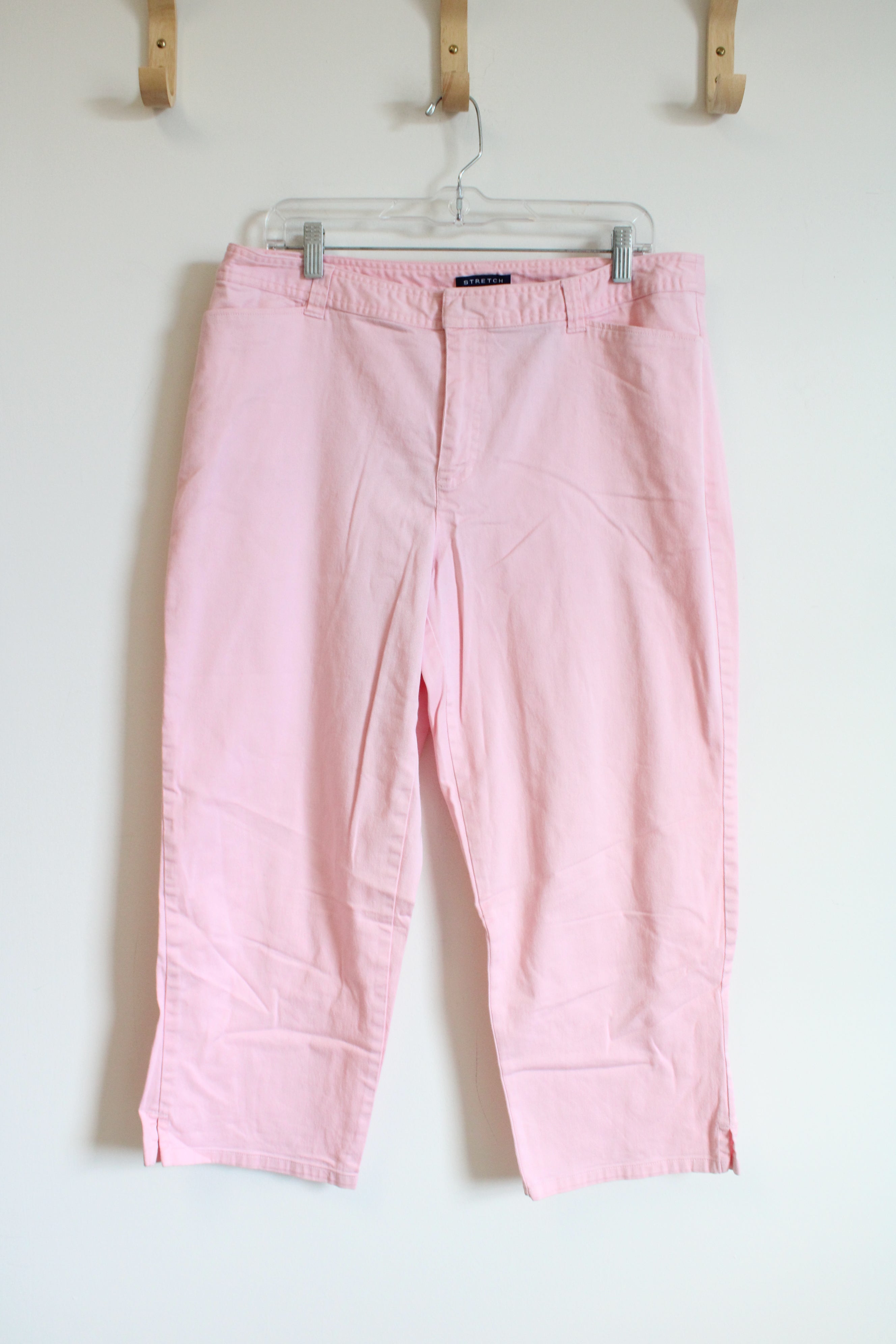 Liz Claiborne Crazy Horse Pink Stretch Pants | 16