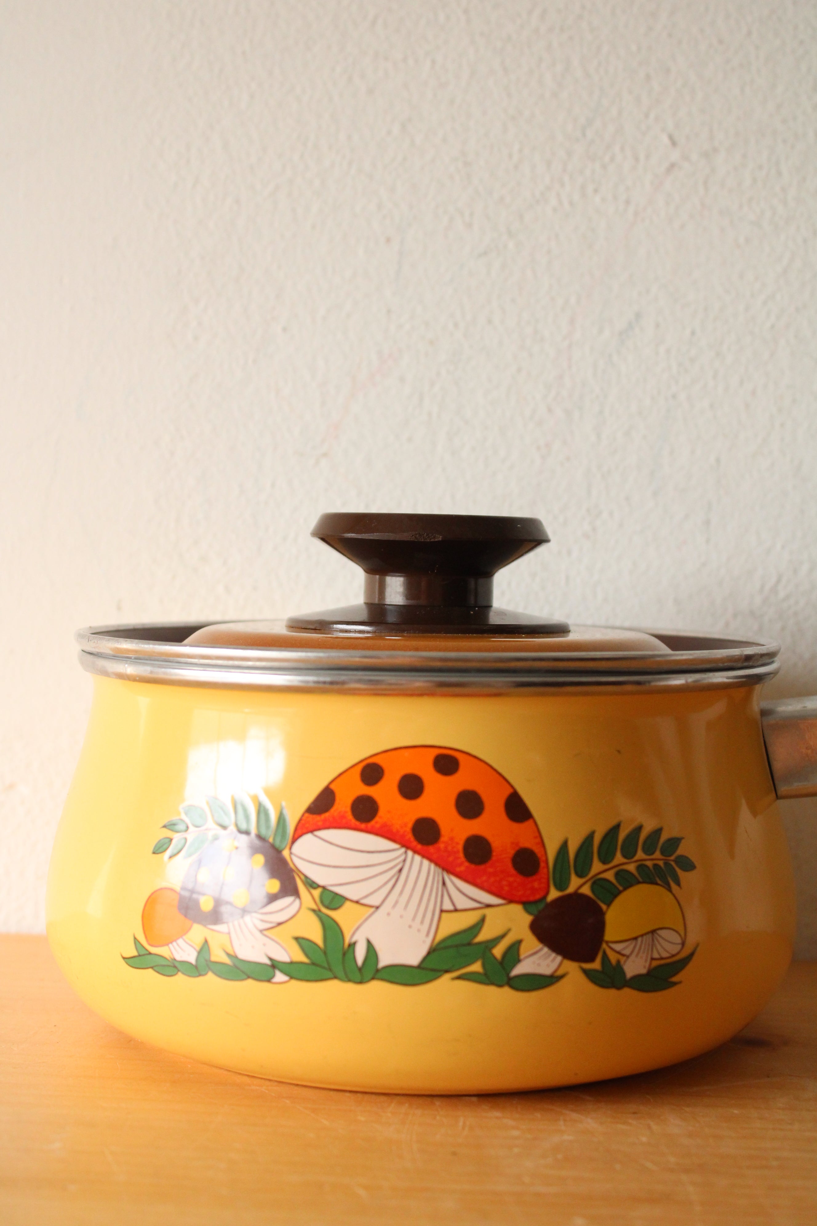 Sears & Roebuck Vintage Merry Mushroom Enamel Saucepan