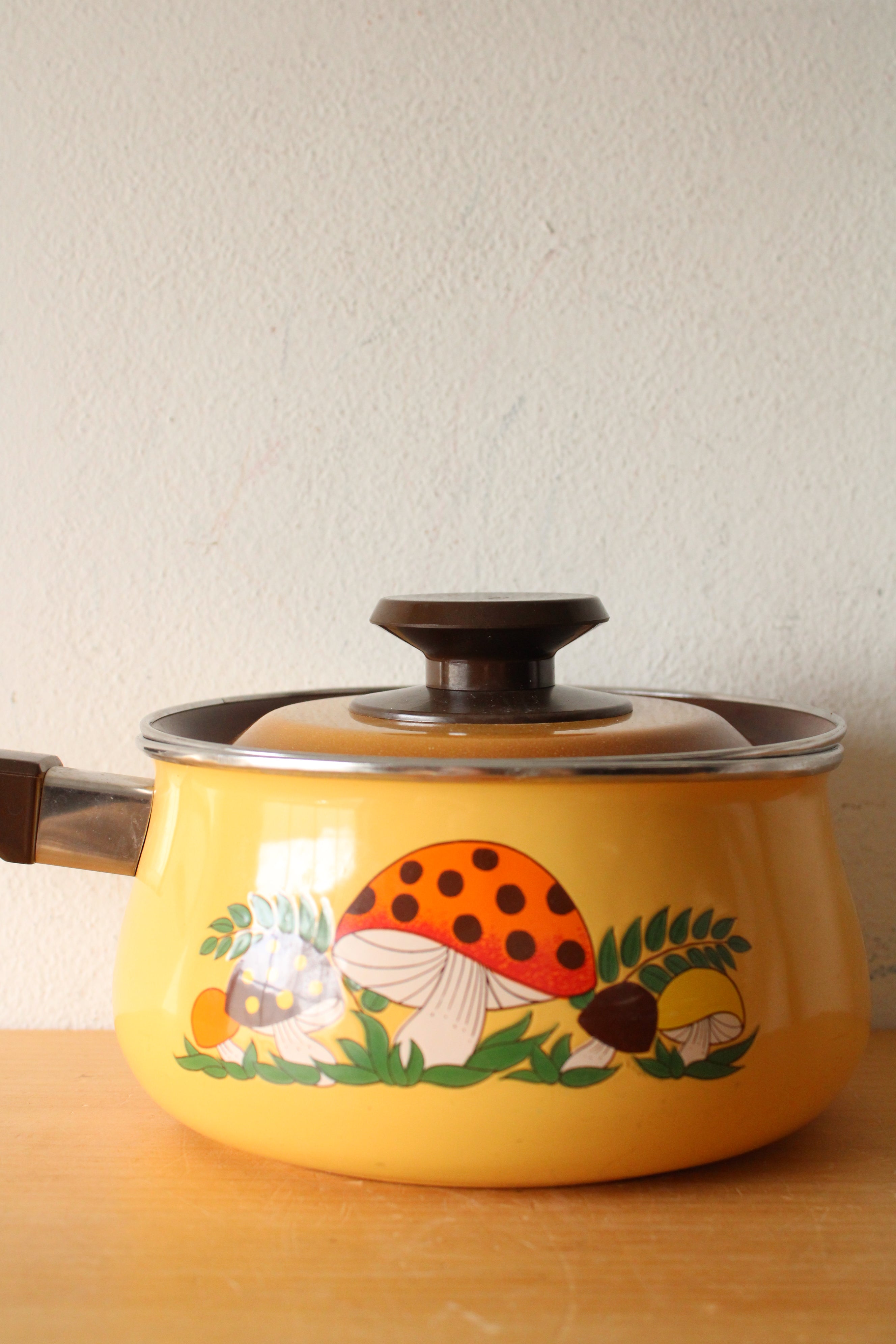 Sears & Roebuck Vintage Merry Mushroom Enamel Saucepan