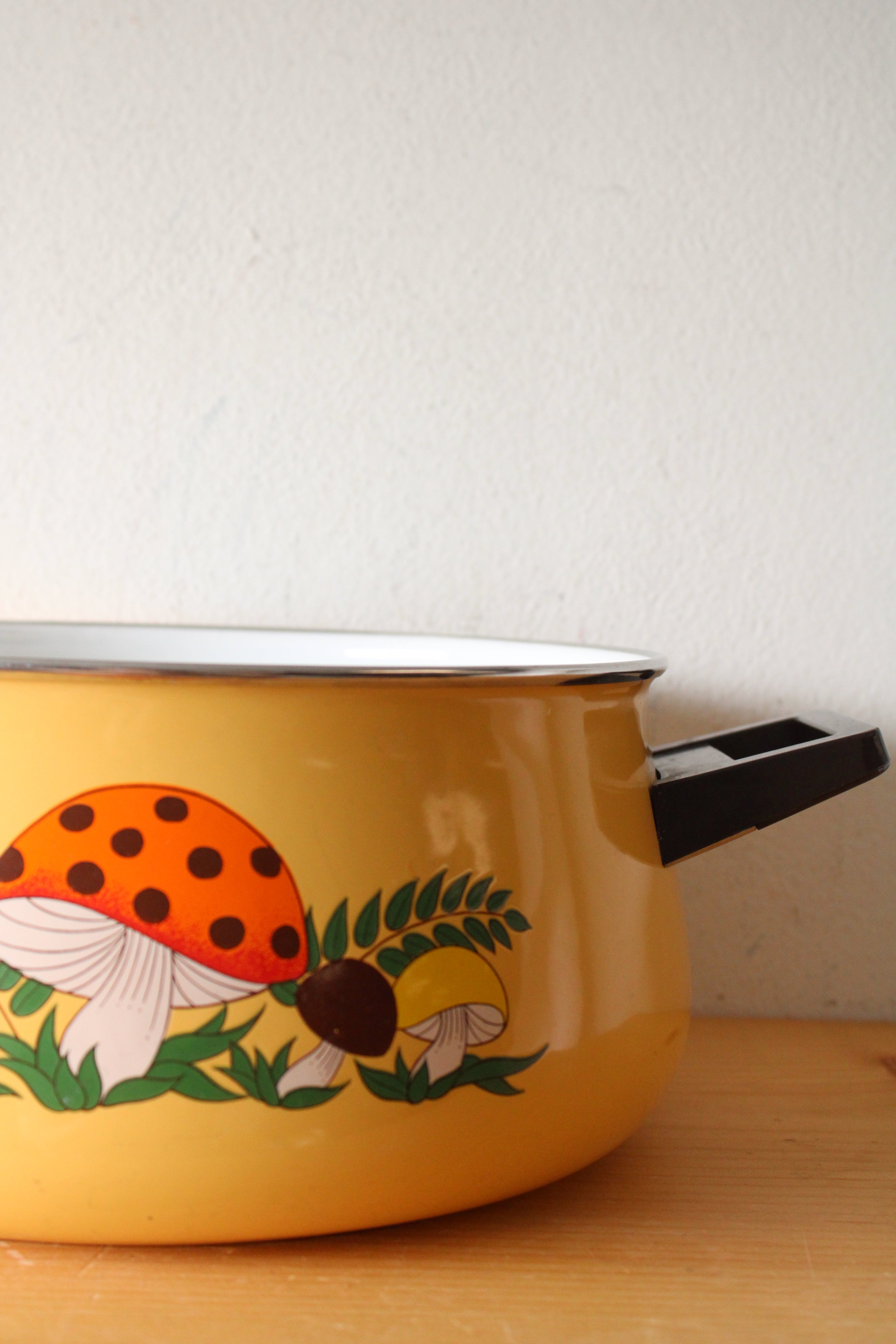 Sears & Roebuck Vintage Merry Mushroom Enamel Large Stew Pot