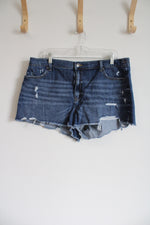 Aerie Elastic Waistband Distressed Denim Shorts | XL